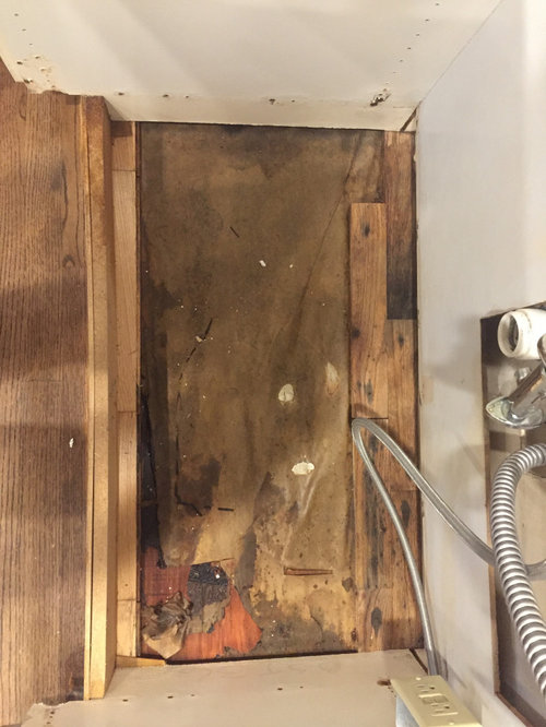 Replacing Under Sink Kitchen Cabinet Floor - Replacing Bathroom Floor Rotted In Kitchen Cabinets How To