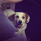 Stacy Wittmann's photo