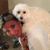 Karrin Phillips's photo