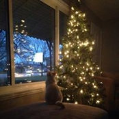 Heather McAuley's photo