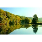 Vivian Bailey's photo