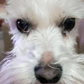 JoAnn Johnson's photo