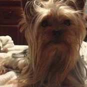Susan Lammle's photo