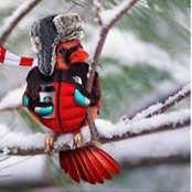 Tammy Angell's photo