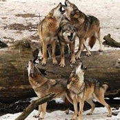 Foto von Terry Wolford