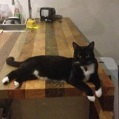 Juan Palacio's photo
