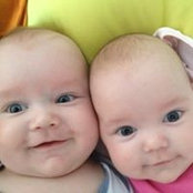 Stefan Lausegger's photo