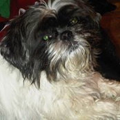 Laura Johnson's photo