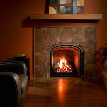 Design Ideas Featuring Mendota Hearth
