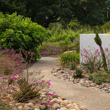 Shepards Mesa Modern