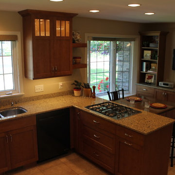 Crystal Encore Cabinets- Transitional Praline