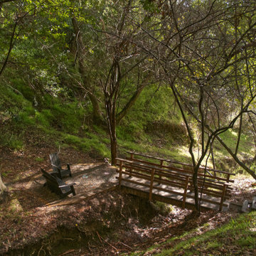 Woodland Rustic