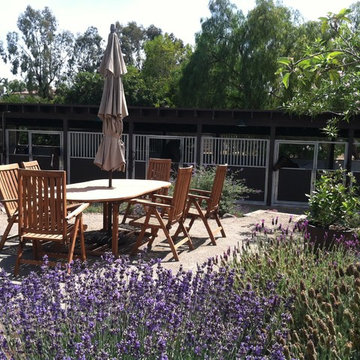 Sustainable Modern Ranch