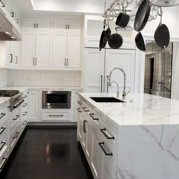 Chicago Residence Kitchen & Living Room