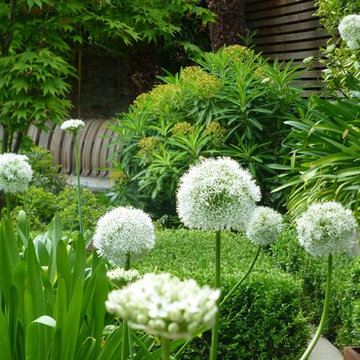 North London Garden