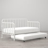 Little Seeds Monarch Hill Wren Twin Metal Kids Daybed with Trundle