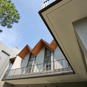 ZN house