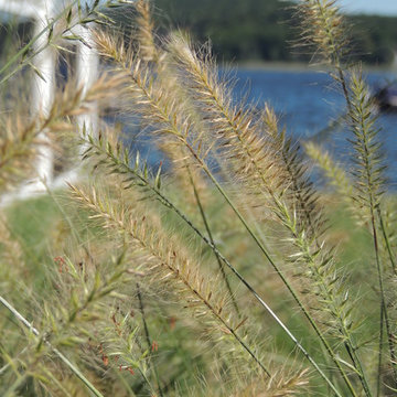 East River Road