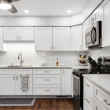Classic Kitchen Swap in Glenview