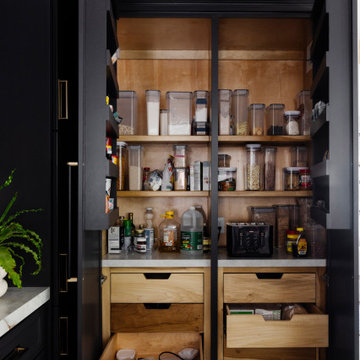 Modern Kitchen in The Woodlands