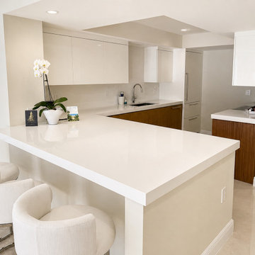 Modern Coastal Condo Kitchen North Palm Beach