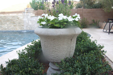 Home design - traditional home design idea in Phoenix