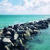 Patricia Donadi's photo