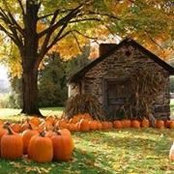 Donna Powers's photo