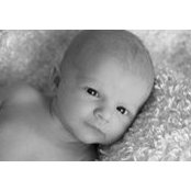 Heather Dawson's photo