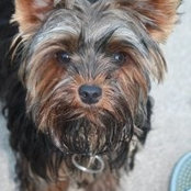 Cathy Peck's photo