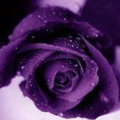 Rosemarie O'Neil's photo