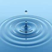 Long Nguyen's photo