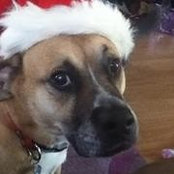 Patricia Curatolo-Maher's photo