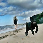 Ingrid Kops foto