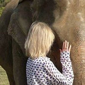 Barbara Swift's photo