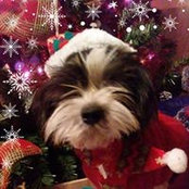 Tammy Tupper's photo