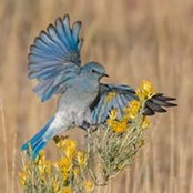 Denise Dawson's photo