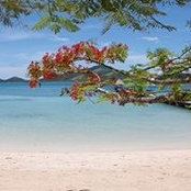 Karen Karabin's photo