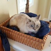 Jennifer Loveridge's photo