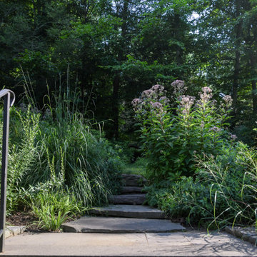 Pollinator Garden McLean, Va