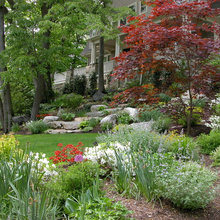 Front yard idea