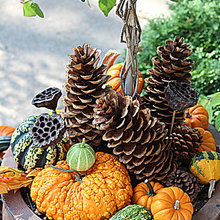 Holiday decor