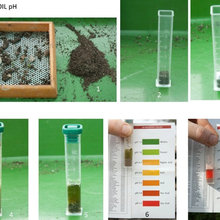 Soil & Amendments