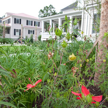 Landscape Upgrade in Mt. Pleasant