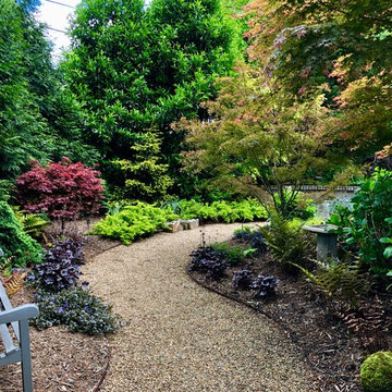 The Back Garden As Seen Through the Gate.