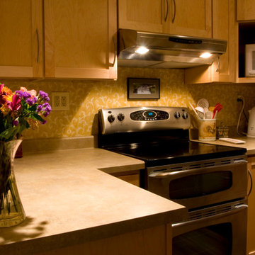 Tiny Cabin Kitchen- Remodel