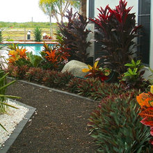 pool garden