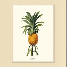 Pineapple Ornaments