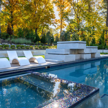 Modern Hillside Oasis