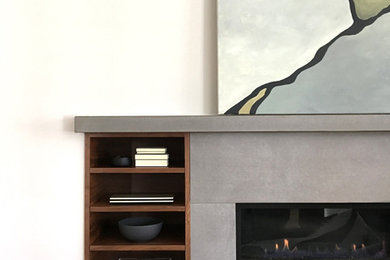 Inspiration for a contemporary living room remodel in Toronto